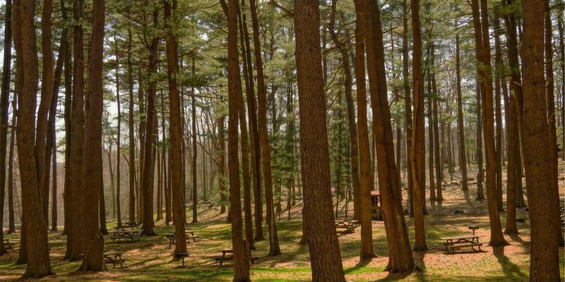 GRLXS编程教程：基于意图的网络（IBN）从概念到落地的实践探索与资源分享