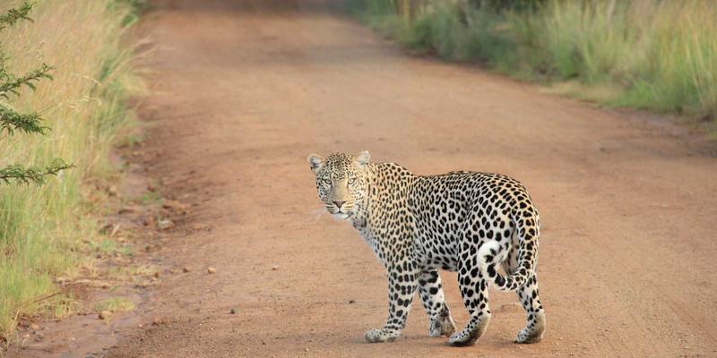 IPv6规模化部署实战：常见问题深度解析与解决方案 | 网络技术资源分享