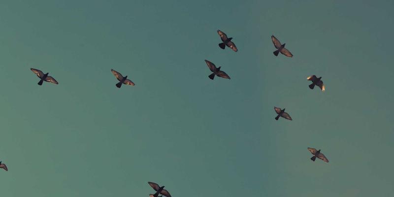 Wi-Fi 7关键技术深度解析：它将如何重塑企业与家庭网络？ | 技术博客与资源分享