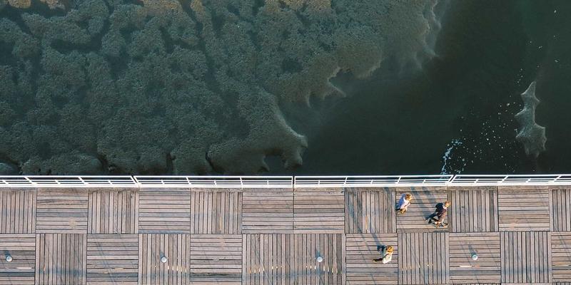 从编程教程到网络革命：基于意图的网络（IBN）如何实现自驱动与业务保障