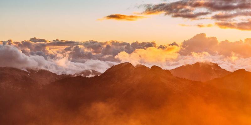 从零构建企业安全防线：零信任网络架构（ZTNA）实施路径与编程实战指南