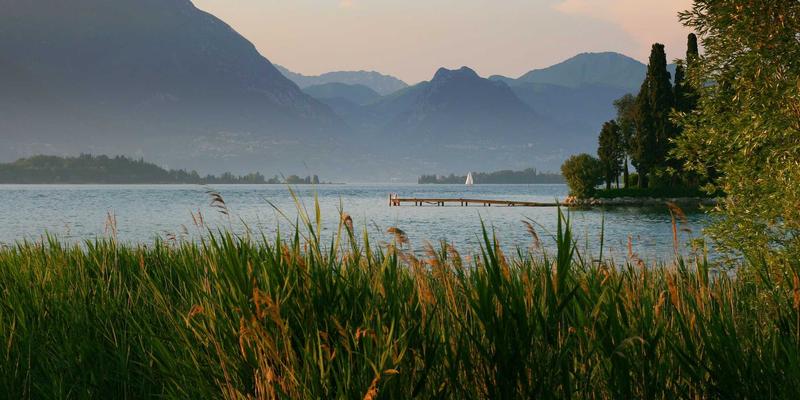 公有云NFaaS选型指南：解锁网络即服务的核心资源与GRLXS技术实践