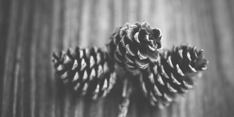 网络技术10:从编程教程到软件下载,一站式技术成长指南