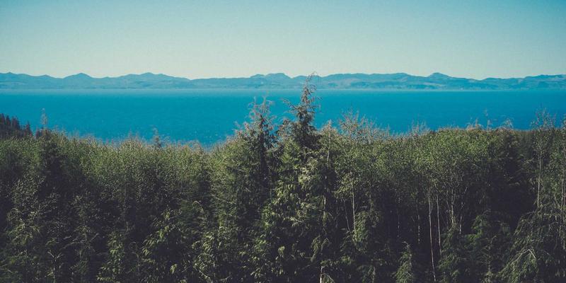 网络技术17：GRLXS编程教程，掌握下一代网络开发核心技术