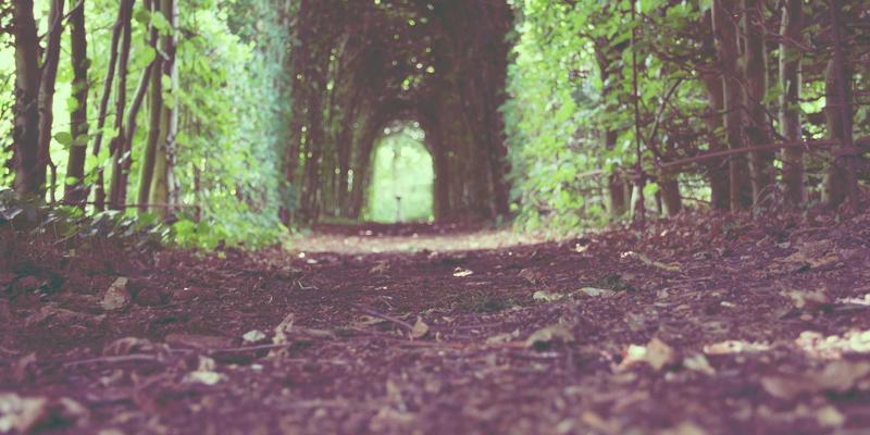 网络技术20时代：从编程教程到GRLXS框架的实战演进