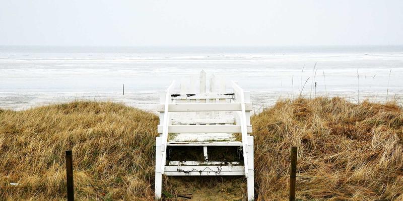 网络技术24:打造你的技术博客,从编程教程到资源分享的完整指南