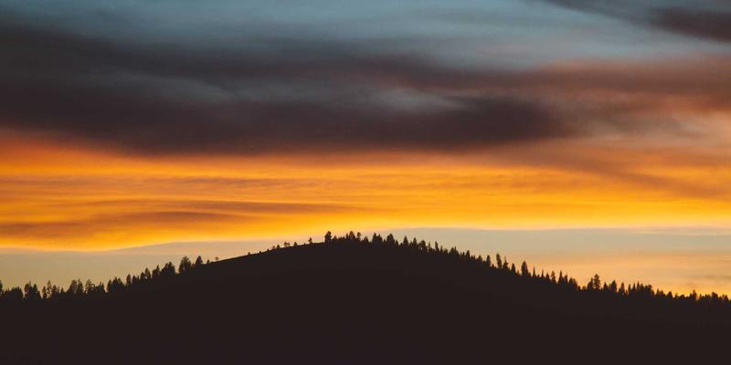 网络技术54：从编程教程到软件下载的全栈指南