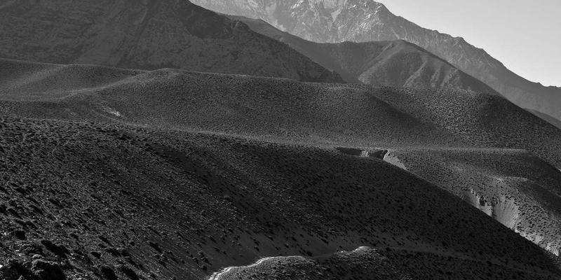 网络技术72：技术博客、软件下载与编程教程的深度融合指南