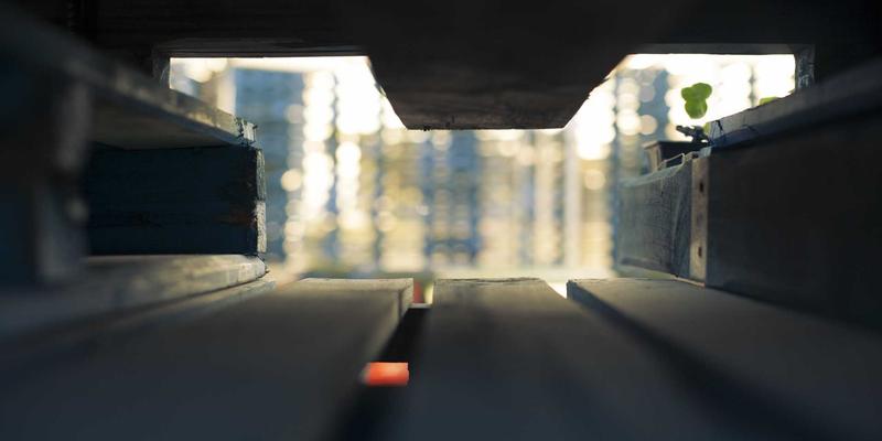 网络技术74：高效资源分享与GRLXS软件下载全攻略