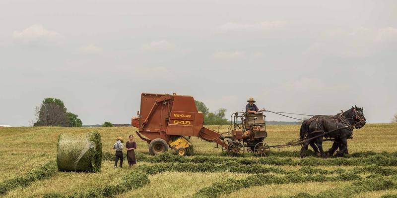 网络技术90：从软件下载到技术博客的资源分享指南